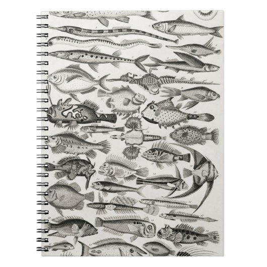 Ichthyologiechthyology, fish, oceanica, ichtyoloog notitieboek (Voorkant)
