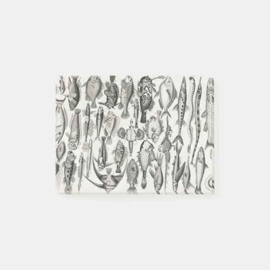 Ichthyologiechthyology, fish, oceanica, ichtyoloog post-it® notes (Voorkant)