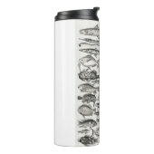 Ichthyologiechthyology, fish, oceanica, ichtyoloog thermosbeker (Gedraaid links)