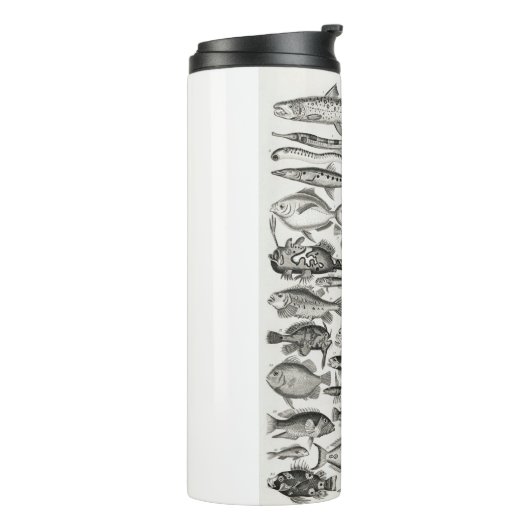 Ichthyologiechthyology, fish, oceanica, ichtyoloog thermosbeker (Gedraaid links)