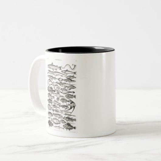 Ichthyologiechthyology, fish, oceanica, ichtyoloog tweekleurige koffiemok (Voorkant links)