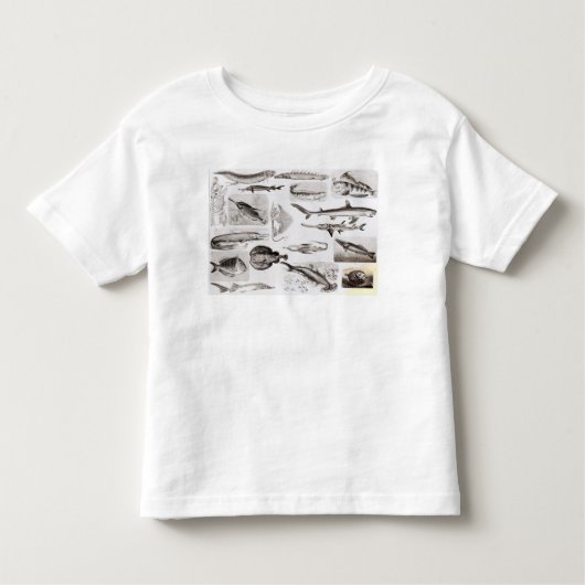 Ichthyology- Elasmobranch, Ganoid Kinder Shirts (Voorkant)