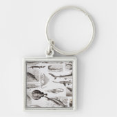 Ichthyology- Elasmobranch, Ganoid Sleutelhanger (Voorkant)