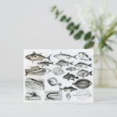 Ichthyology Osseous Fishes Briefkaart (Staand voorkant)