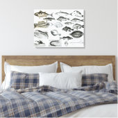 Ichthyology Osseous Fishes Canvas Afdruk (Insitu (Slaapkamer))