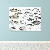 Ichthyology Osseous Fishes Canvas Afdruk (Insitu (Houten vloer))
