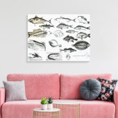 Ichthyology Osseous Fishes Canvas Afdruk (Insitu (Woonkamer))