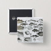 Ichthyology Osseous Fishes Vierkante Button 5,1 Cm (Voorkant /achterkant)