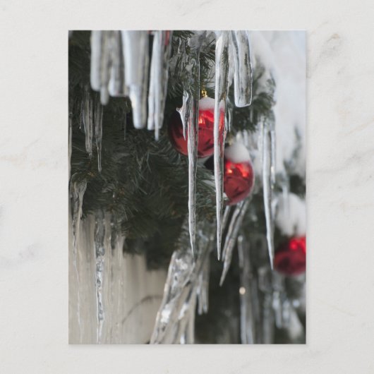 Icicen Briefkaart (Voorkant)