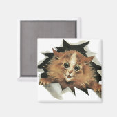  Icicle Cat kijkt naar je cadeaumagneet Magneet (Voorkant / Achterkant)