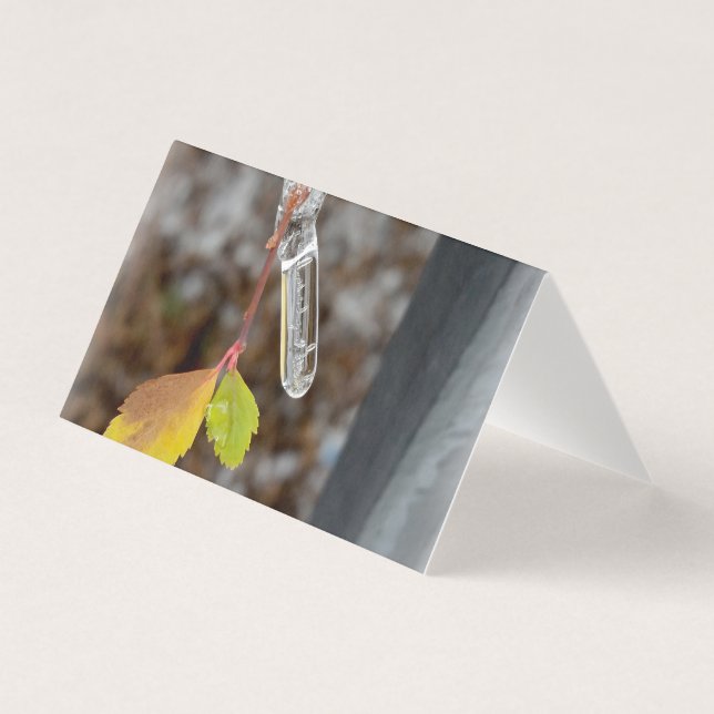 Icicle op blad kaart (Voorkant)