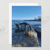 Icicles in het landschap, bevroren bij het meer (Voorkant / Achterkant)