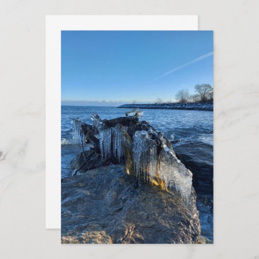 Icicles in het landschap, bevroren bij het meer (Voorkant / Achterkant)