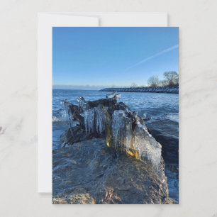 Icicles in het landschap, bevroren bij het meer