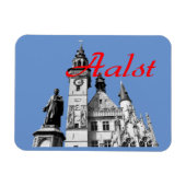 Iconen van Aalst, België Magneet (Horizontaal)