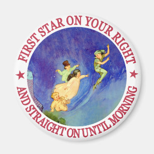 ICONIC-AFBEELDING VAN PETER PAN MAGNEET