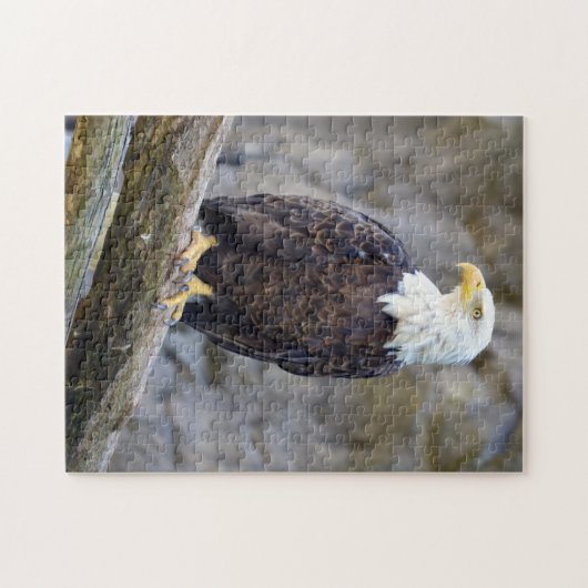 Iconic American Bald Eagle Puzzle Legpuzzel (Horizontaal)