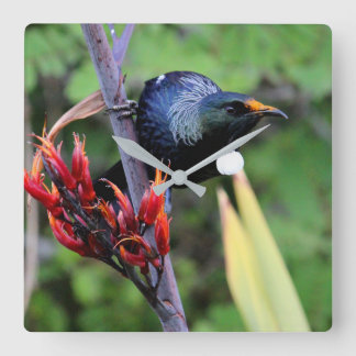 Iconic NZ Tui Vierkante Klok