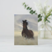 Iconisch Briefkaart (Staand voorkant)