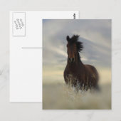 Iconisch Briefkaart (Voorkant / Achterkant)