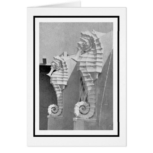 Iconisch Zee paard van Sarasota (Voorkant)