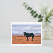 Iconisch zwart IJslands briefkaart (Staand voorkant)