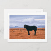 Iconisch zwart IJslands briefkaart (Voorkant / Achterkant)