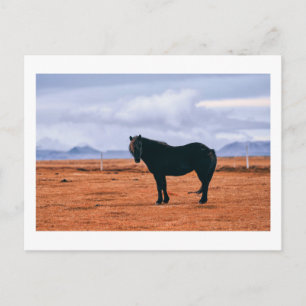 Iconisch zwart IJslands briefkaart
