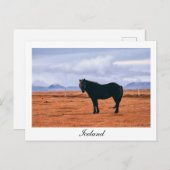 Iconisch zwart IJslands briefkaart (Voorkant / Achterkant)