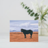 Iconisch zwart IJslands briefkaart (Staand voorkant)