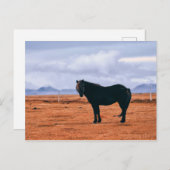 Iconisch zwart IJslands briefkaart (Voorkant / Achterkant)