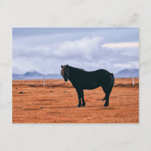 Iconisch zwart IJslands briefkaart