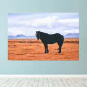 Iconisch zwart IJslands paard Canvas Afdruk (Insitu (Houten vloer))
