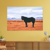 Iconisch zwart IJslands paard Canvas Afdruk (Insitu (Woonkamer))