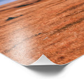 Iconisch zwart IJslands paard Foto Afdruk (Hoek)