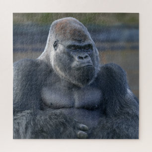 Iconische Silverback Oumbi Legpuzzel