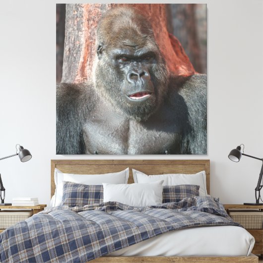 Iconische Silverback - Oumbi onthuld Canvas Afdruk (Insitu (Slaapkamer))