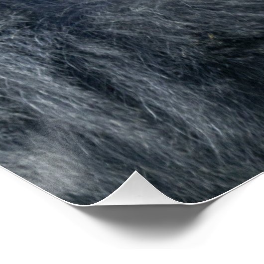 Iconische Silverback Oumbi Perfect Poster (Hoek)