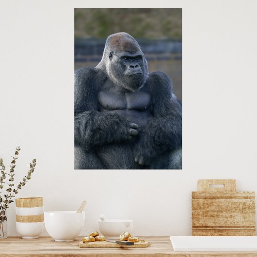 Iconische Silverback Oumbi Poster (Keuken)
