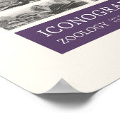 Iconografie - Dierkundige taferelen Poster (Hoek)