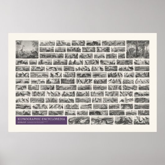 Iconografie - Dierkundige taferelen Poster (Voorkant)