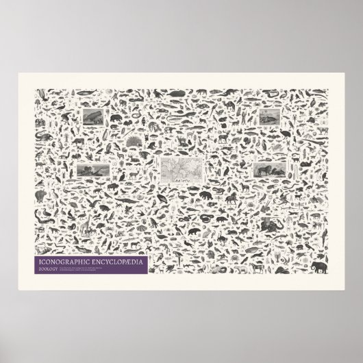 Iconografie - Figuren uit de dierkunde Poster (Voorkant)