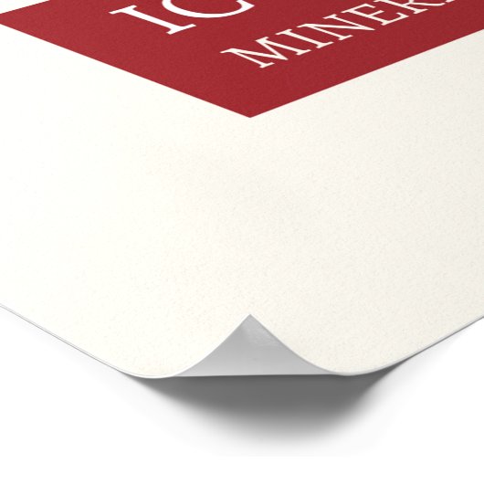 Iconografie - mineralogie poster (Hoek)