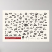 Iconografie - mineralogie poster (Voorkant)
