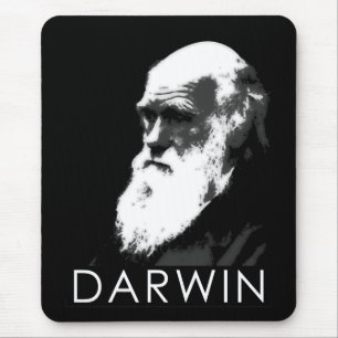 Icons of Science: Darwin Muismat