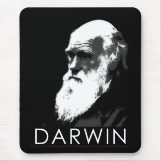 Icons of Science: Darwin Muismat
