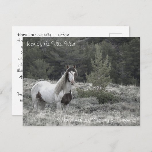 Icoon van het Wilde Westen - Briefkaart (Voorkant / Achterkant)