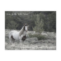 Icoon van het Wilde Westen - Briefkaart