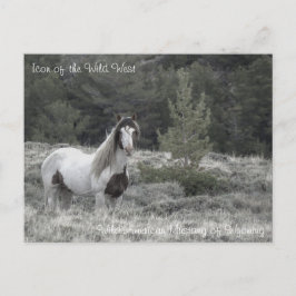 Icoon van het Wilde Westen - Briefkaart
