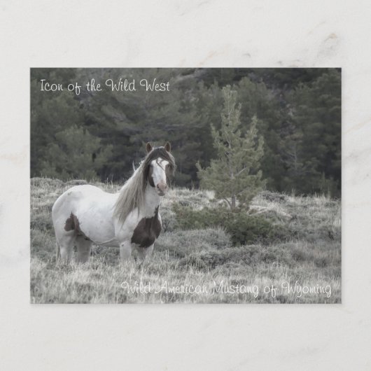 Icoon van het Wilde Westen - Briefkaart (Voorkant)